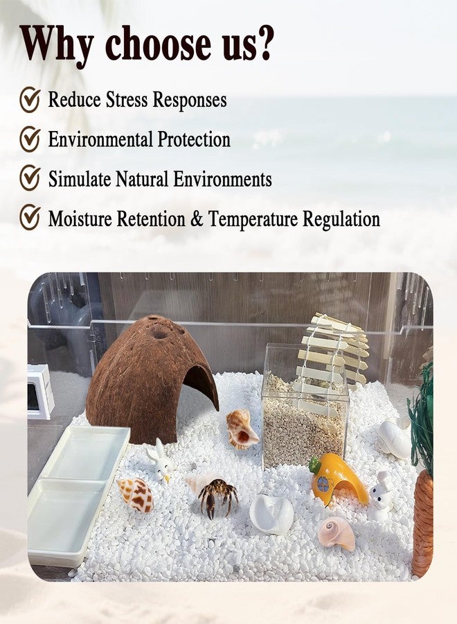 Niuohoy Hermit Crab Shells 1 Coconut Shell Hut 5 PCS Hermit Crab Seashells Accessories Decorations Enrichment Hut for House Hermit Crab Tank Hide Reptile Hideout - Image 4